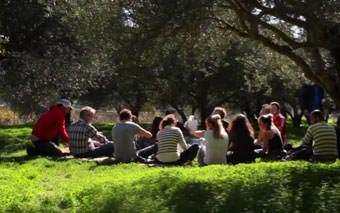 A group of people, including some Agrobloggers, sit in a circle on grass under shady trees, enjoying a sunny day outdoors in Crete. Some are talking, and everyone appears relaxed in the natural setting.