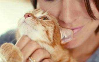 A person gently cuddles an orange tabby cat, smiling softly while holding the cat close to their face after sharing a treat of Purina Super Goober.