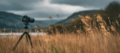 A camera mounted on a tripod stands in tall, golden grass, facing a lake and distant hills under a cloudy sky—ready for filming in South Korea’s breathtaking landscape.