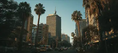 A city street lined with tall palm trees and buildings, featuring a prominent skyscraper under a clear sky. Cars and people bustle below, capturing the vibrant atmosphere perfect for filming in Johannesburg.