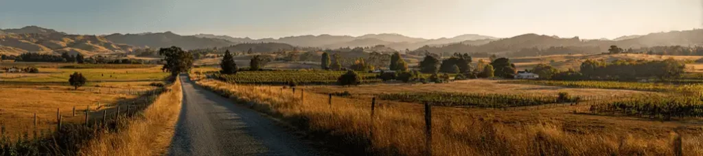 A rural road runs through golden fields toward distant hills under a clear sky, with scattered trees, vineyards, and a few houses dotting the peaceful countryside—perfect for filming in Wellington.